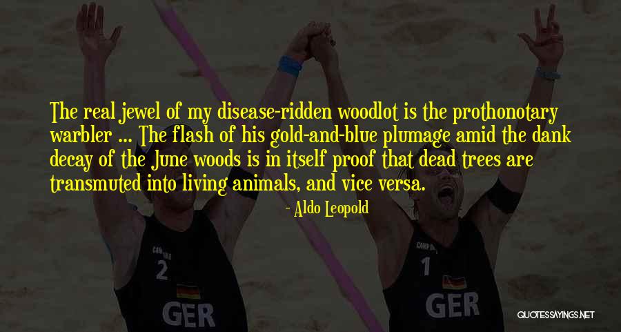Transmuted Quotes By Aldo Leopold Transmuted Quotes By Aldo Leopold