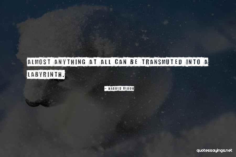Transmuted Quotes By Harold Bloom Transmuted Quotes By Harold Bloom