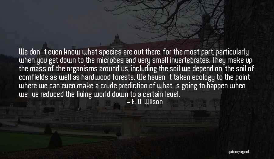Transoms Direct Quotes By E. O. Wilson Transoms Direct Quotes By E. O. Wilson