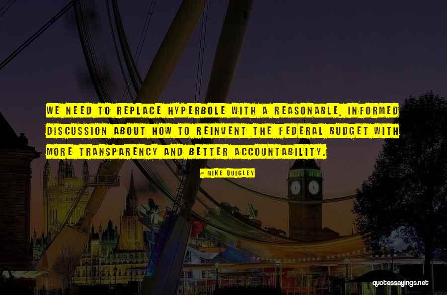 Transparency And Accountability Quotes By Mike Quigley