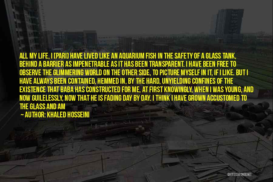 Transparent Quotes By Khaled Hosseini