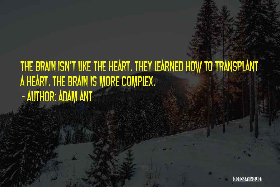 Transplant Quotes By Adam Ant