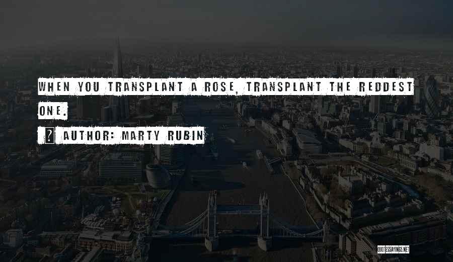 Transplant Quotes By Marty Rubin