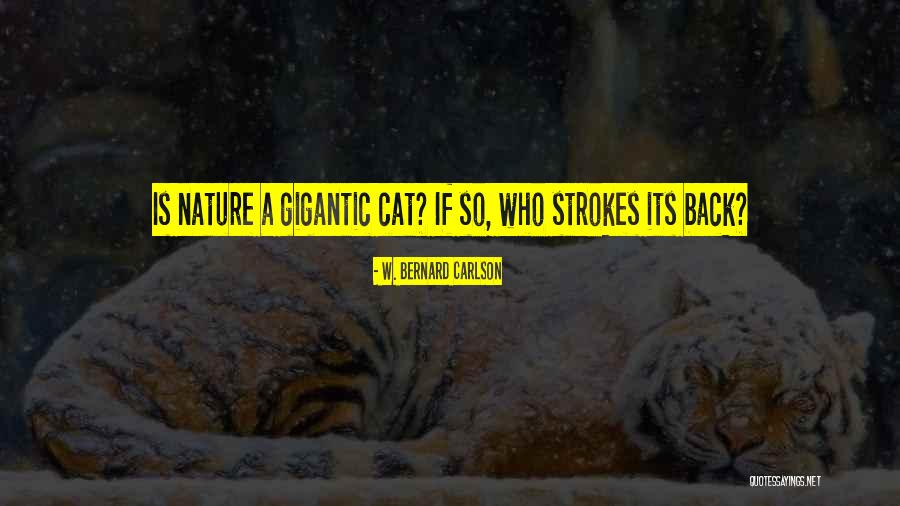 Transportationservicez Quotes By W. Bernard Carlson Transportationservicez Quotes By W. Bernard Carlson