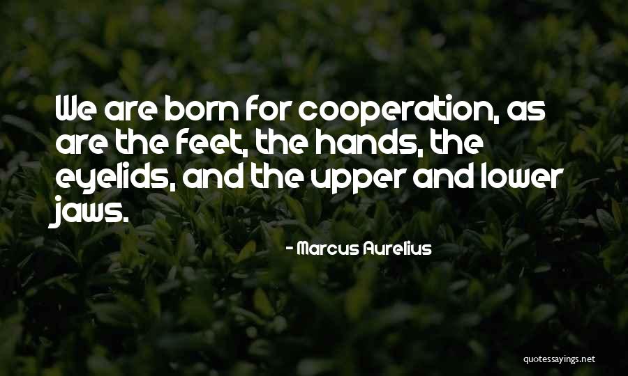 Transposing A Matrix Quotes By Marcus Aurelius Transposing A Matrix Quotes By Marcus Aurelius