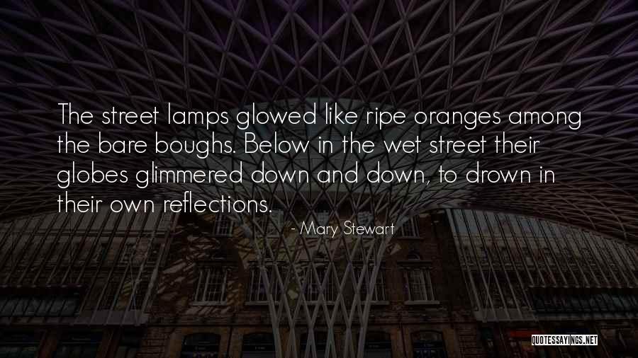 Transvaal Ruddervoorde Quotes By Mary Stewart Transvaal Ruddervoorde Quotes By Mary Stewart