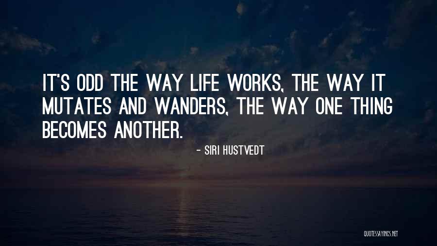 Transversal Significado Quotes By Siri Hustvedt Transversal Significado Quotes By Siri Hustvedt