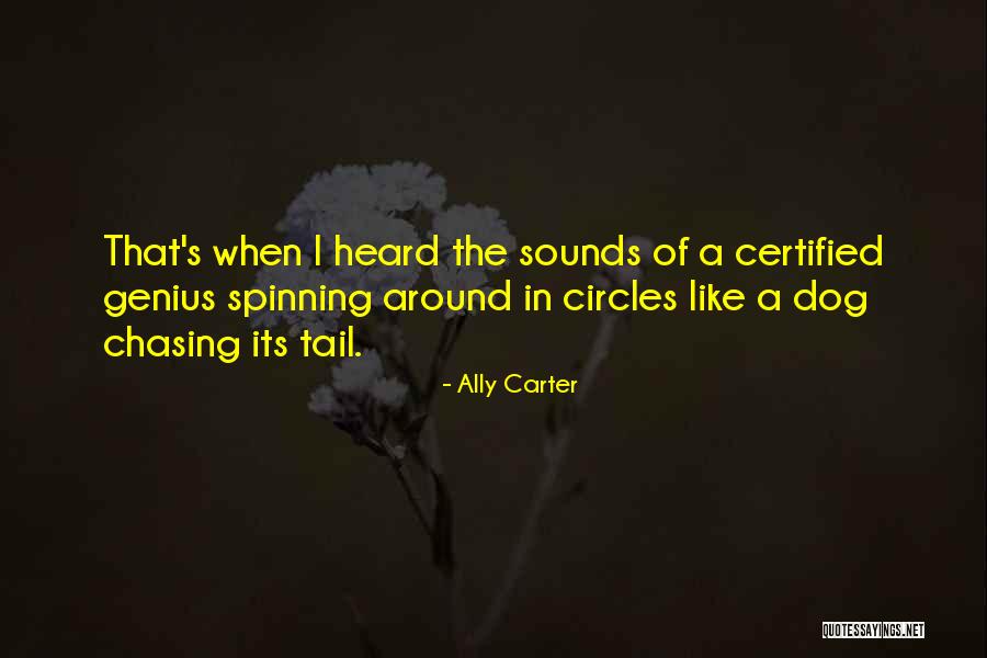 Transways Tracking Quotes By Ally Carter Transways Tracking Quotes By Ally Carter