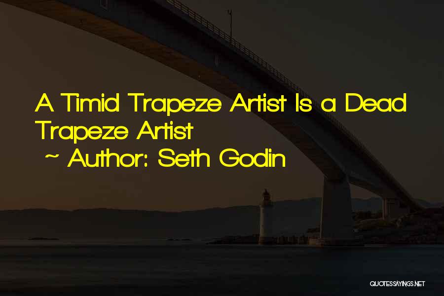 Trapeze Artist Quotes By Seth Godin