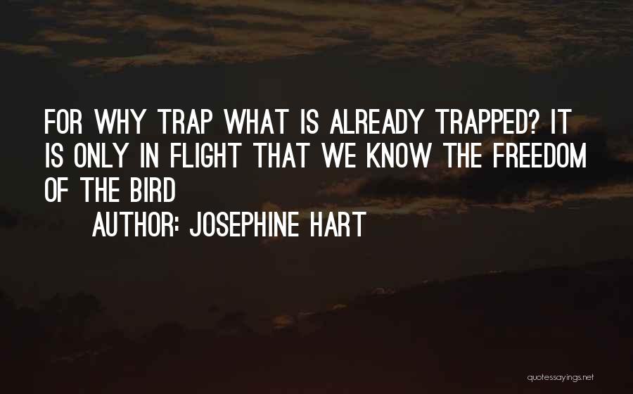 Trapped Bird Quotes By Josephine Hart