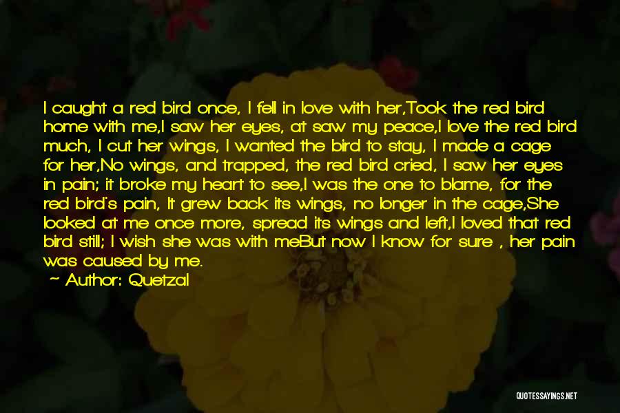 Trapped Bird Quotes By Quetzal