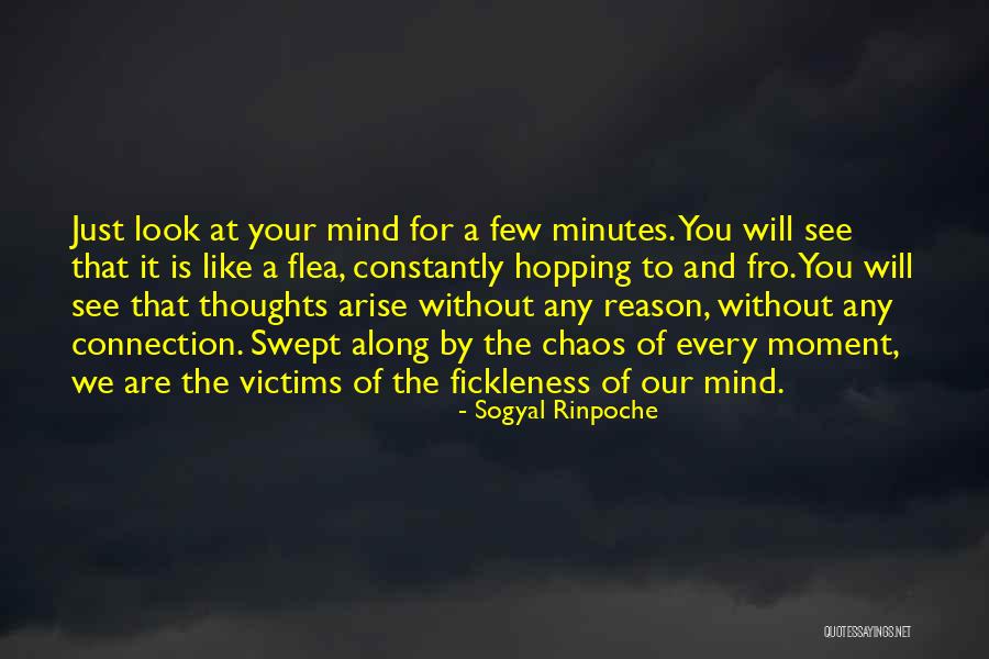 Traqueteo Quotes By Sogyal Rinpoche Traqueteo Quotes By Sogyal Rinpoche