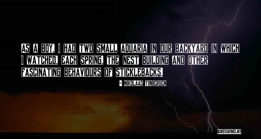Trasciende En Quotes By Nikolaas Tinbergen Trasciende En Quotes By Nikolaas Tinbergen