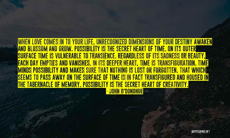 Traseira Kombi Quotes By John O'Donohue Traseira Kombi Quotes By John O'Donohue