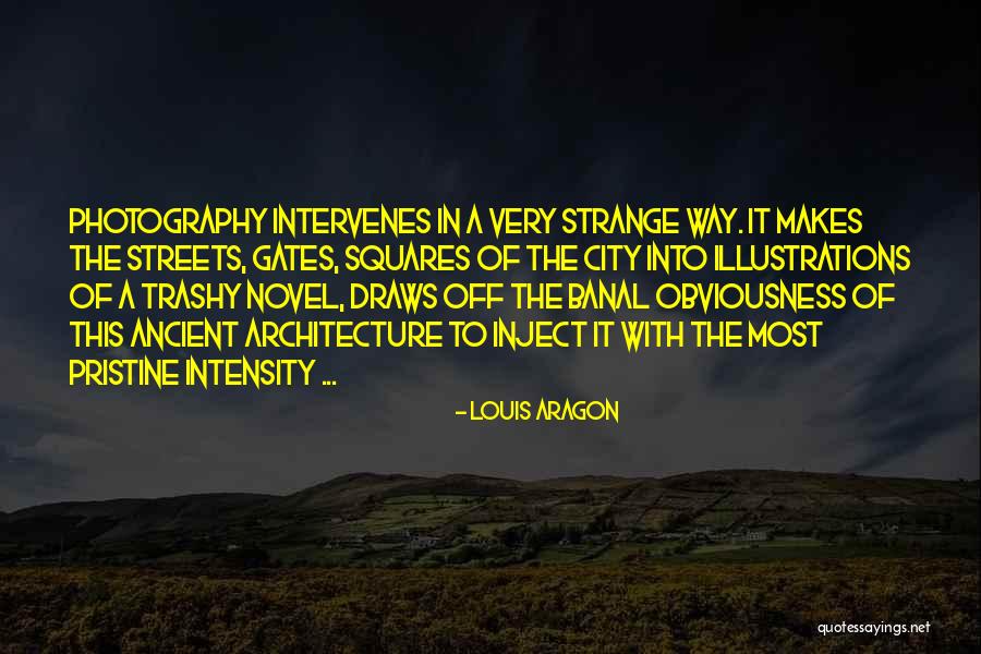 Trashy Quotes By Louis Aragon Trashy Quotes By Louis Aragon