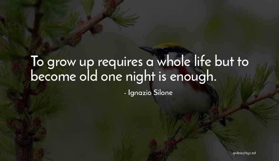 Trattato Sul Quotes By Ignazio Silone Trattato Sul Quotes By Ignazio Silone
