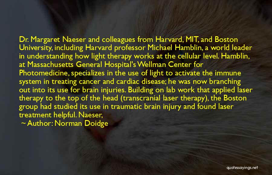 Traumatic Injury Quotes By Norman Doidge