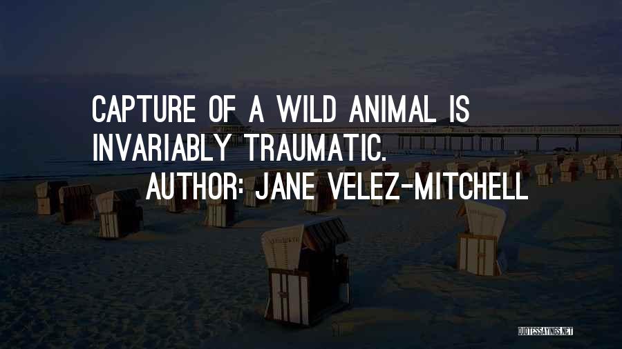 Traumatic Quotes By Jane Velez-Mitchell