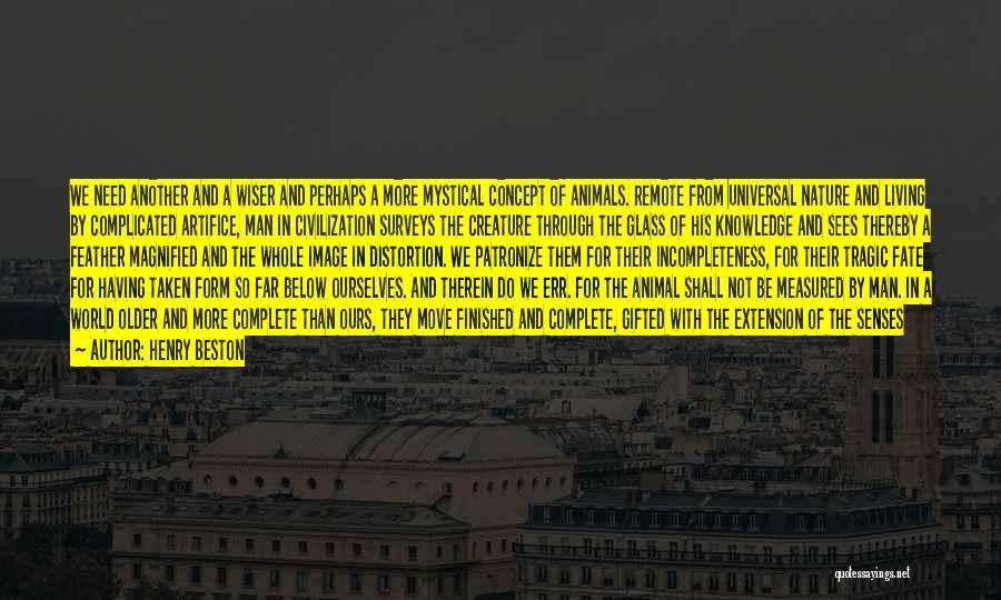 Travail Quotes By Henry Beston Travail Quotes By Henry Beston