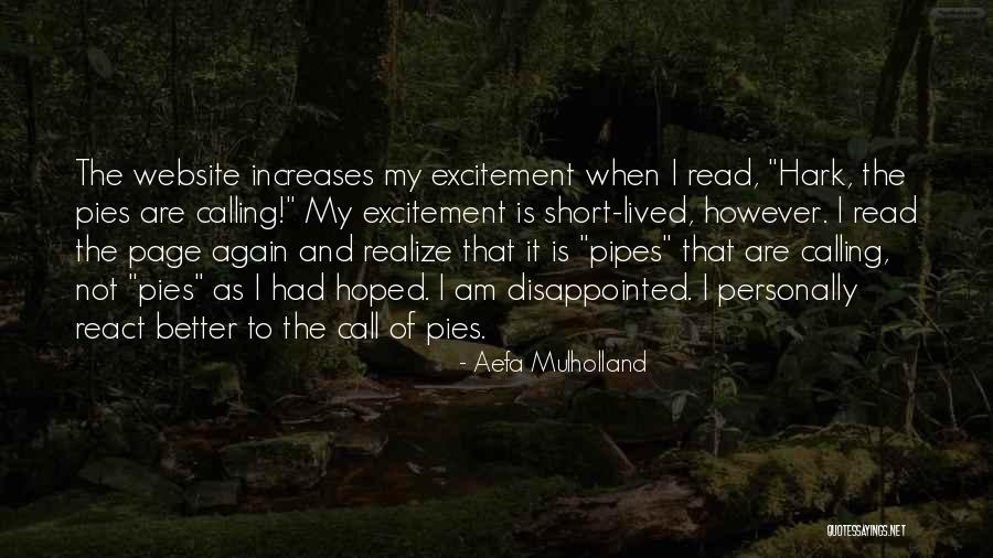 Travel Again Quotes By Aefa Mulholland