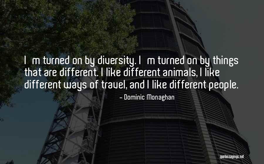 Travel And Diversity Quotes By Dominic Monaghan