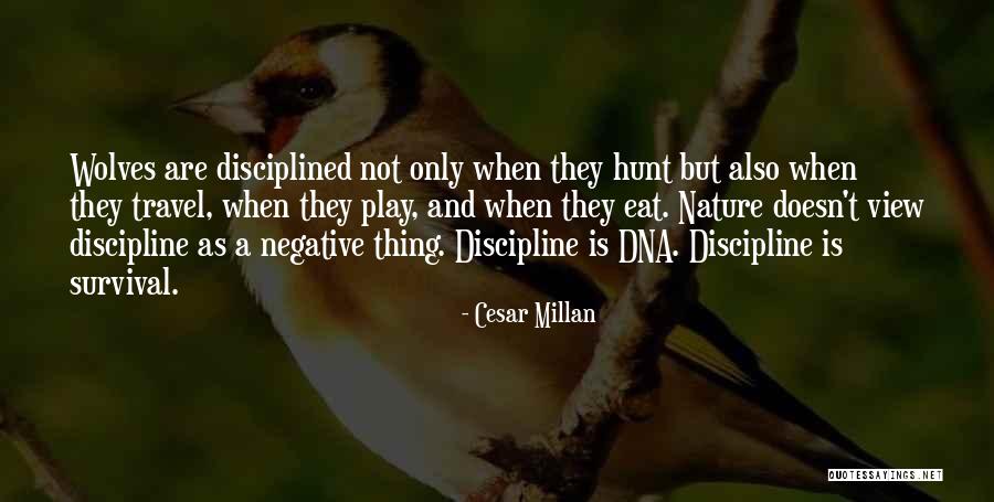 Travel And Eat Quotes By Cesar Millan Travel And Eat Quotes By Cesar Millan