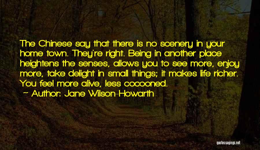 Travel And Enjoy Life Quotes By Jane Wilson-Howarth