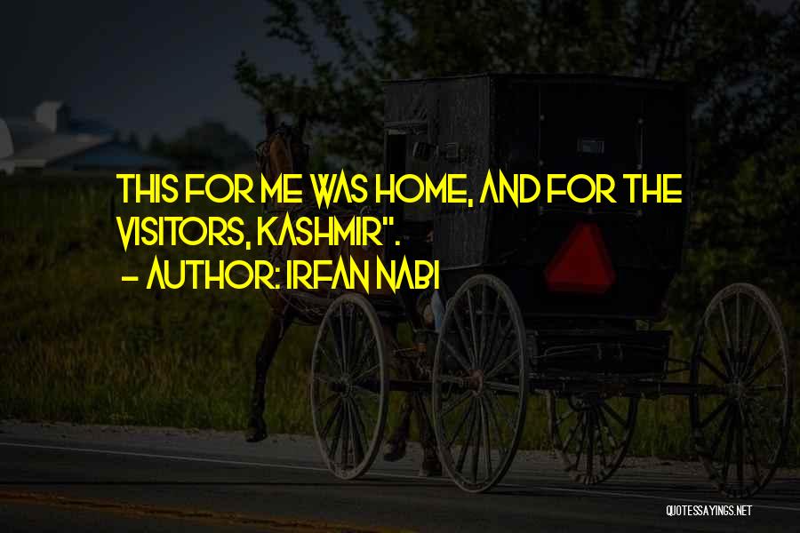 Travel And Going Home Quotes By Irfan Nabi