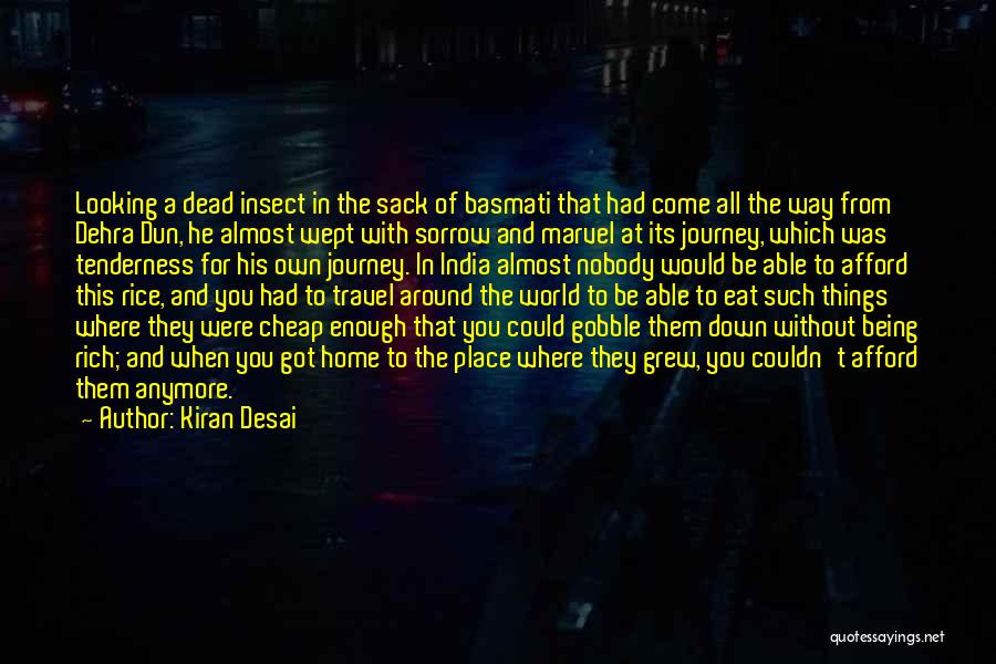 Travel And Going Home Quotes By Kiran Desai