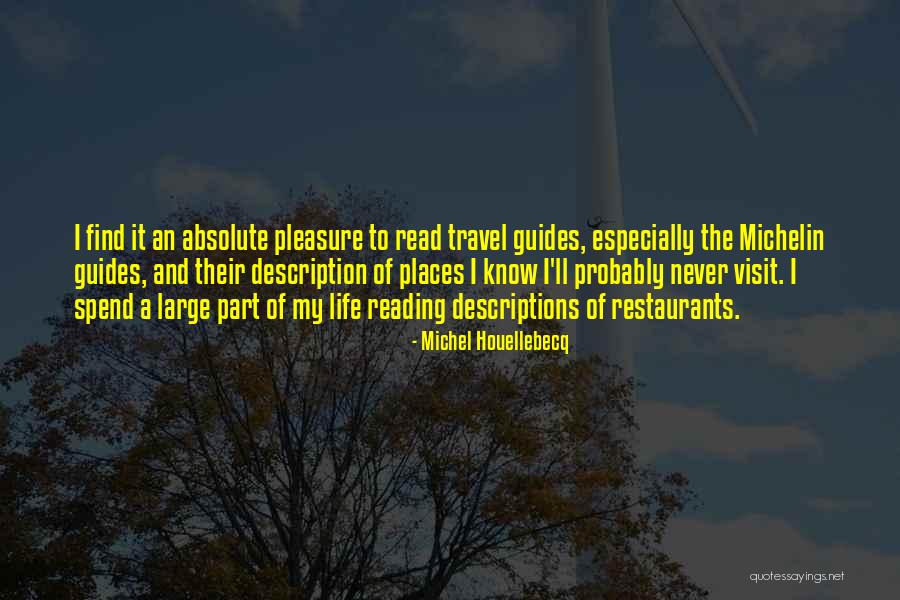 Travel And Reading Quotes By Michel Houellebecq Travel And Reading Quotes By Michel Houellebecq