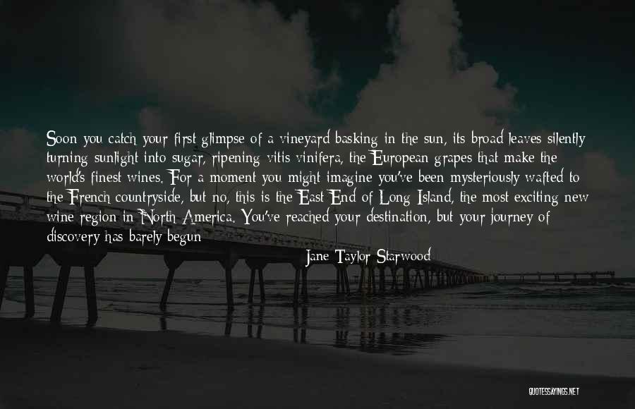 Travel And Self Discovery Quotes By Jane Taylor Starwood Travel And Self Discovery Quotes By Jane Taylor Starwood