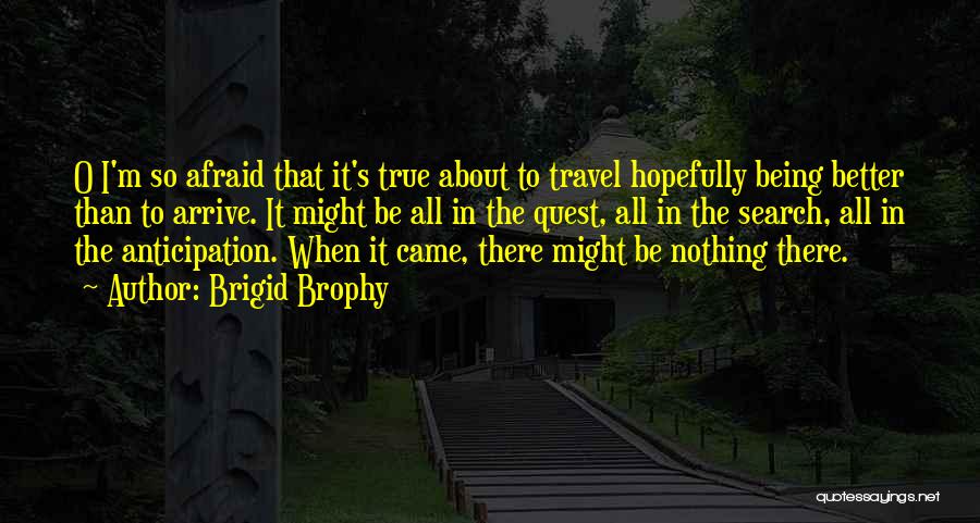 Travel Anticipation Quotes By Brigid Brophy