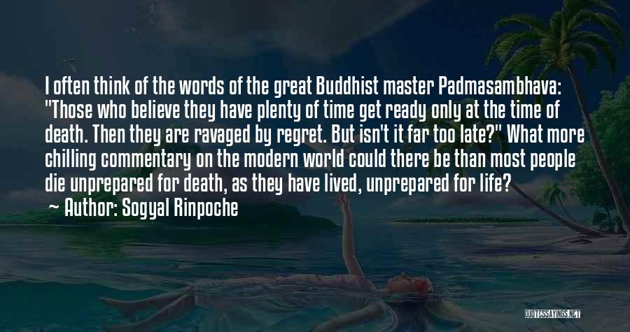 Travel Buddy Quotes By Sogyal Rinpoche