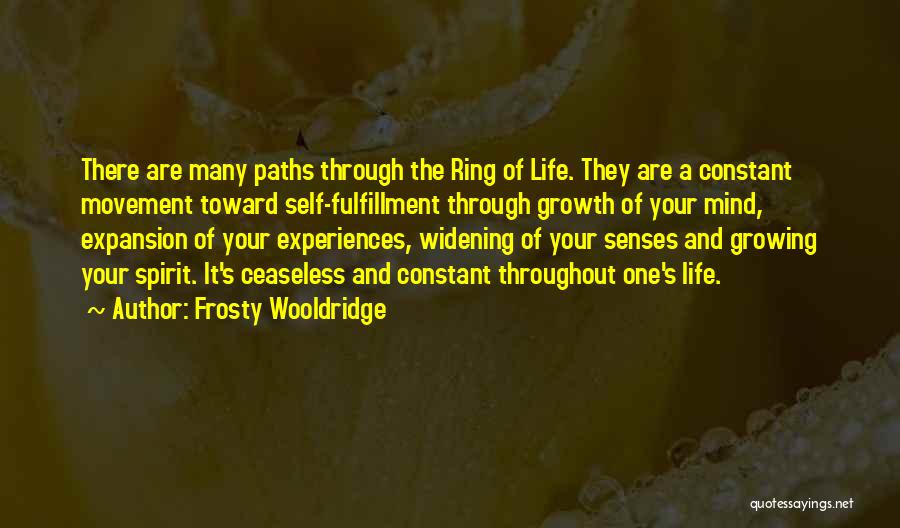 Travel Experiences Quotes By Frosty Wooldridge