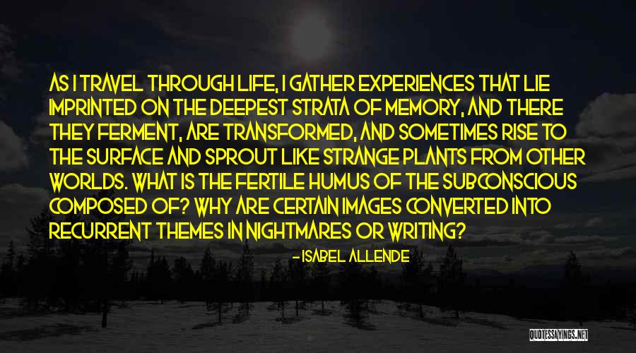 Travel Experiences Quotes By Isabel Allende