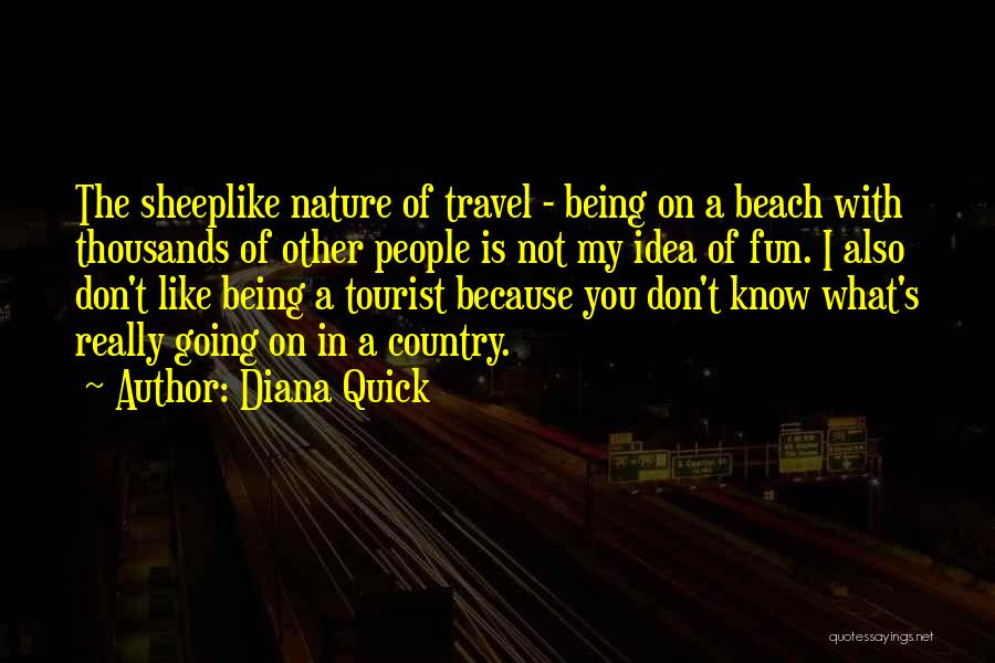 Travel For Fun Quotes By Diana Quick