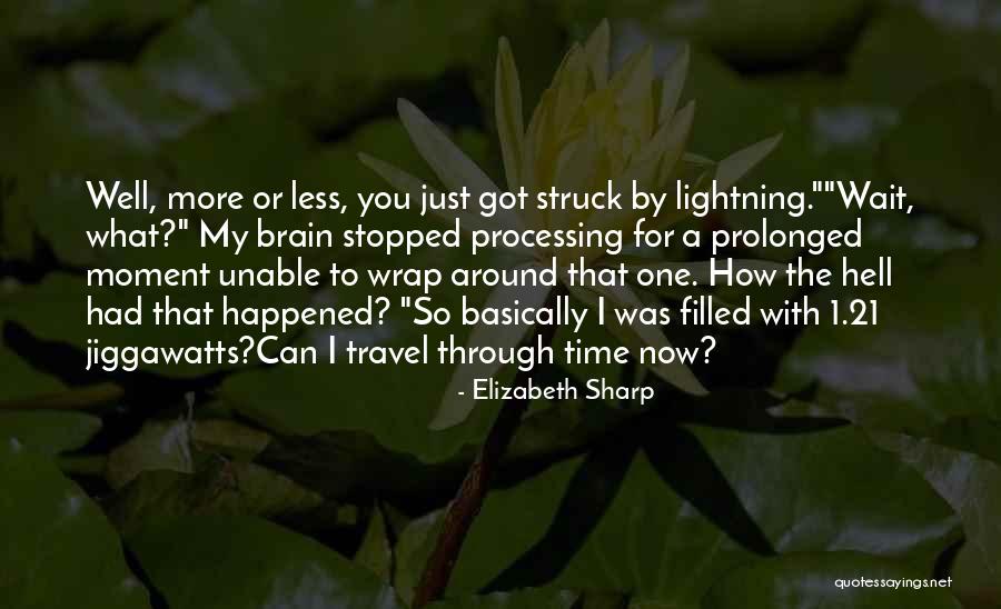 Travel Funny Quotes By Elizabeth Sharp