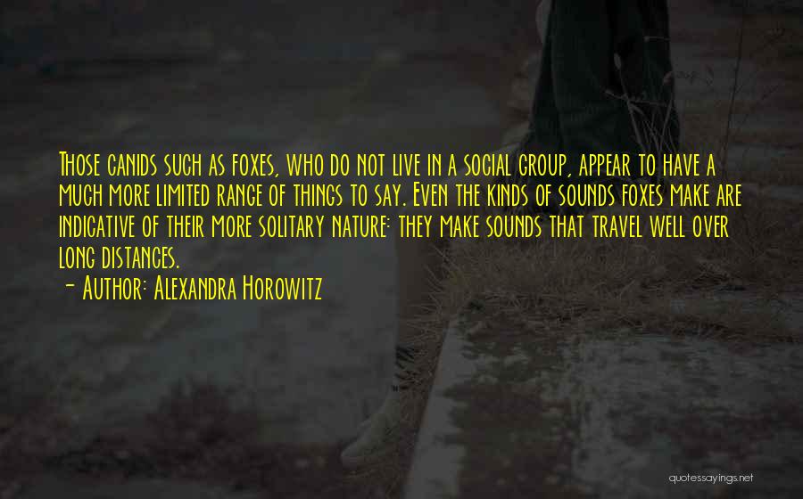 Travel In Group Quotes By Alexandra Horowitz