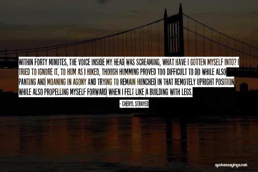 Travel Memoir Quotes By Cheryl Strayed Travel Memoir Quotes By Cheryl Strayed