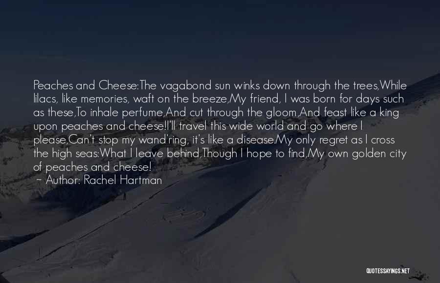 Travel Memories Quotes By Rachel Hartman