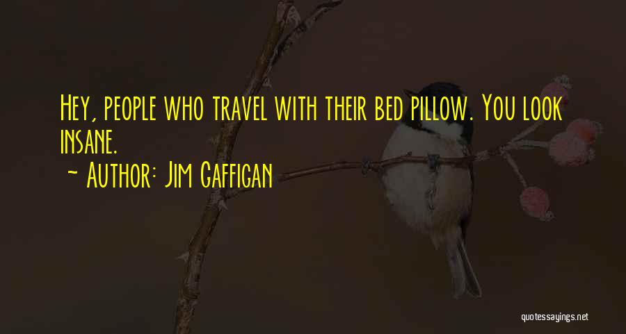 Travel Pillow Quotes By Jim Gaffigan