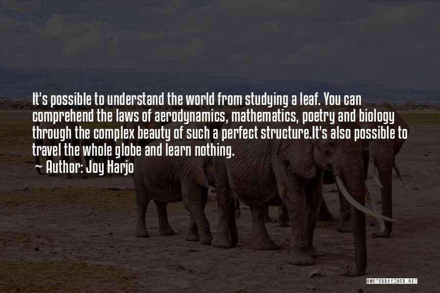 Travel The Whole World Quotes By Joy Harjo