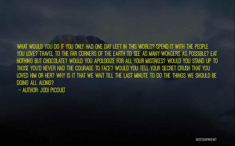 Travel The World With The One You Love Quotes By Jodi Picoult