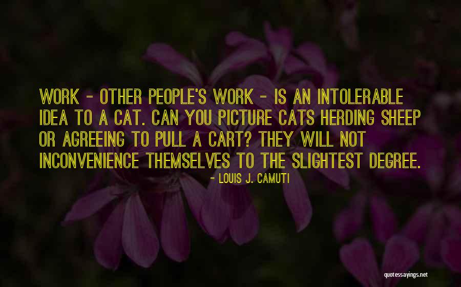 Travel To Egypt Quotes By Louis J. Camuti Travel To Egypt Quotes By Louis J. Camuti
