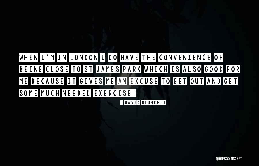 Travel To London Quotes By David Blunkett