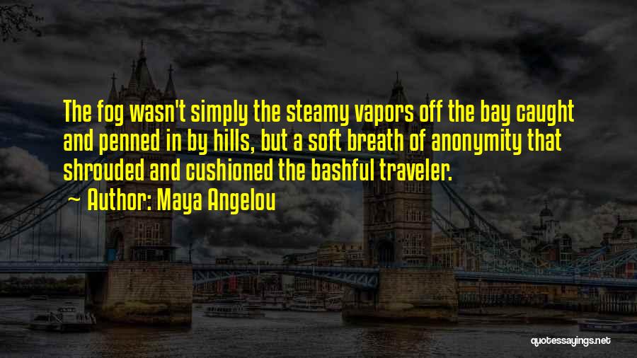 Traveler Quotes By Maya Angelou