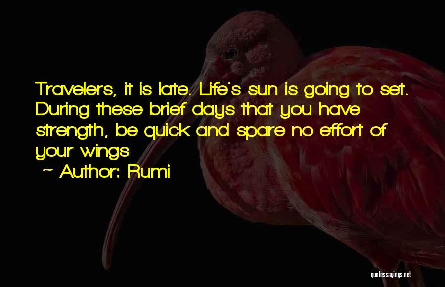 Travelers Life Quotes By Rumi
