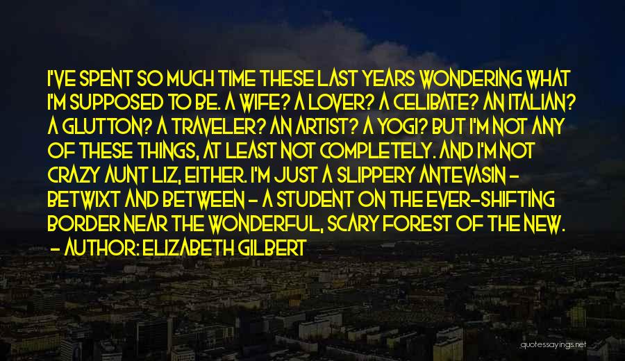 Traveler's Wife Quotes By Elizabeth Gilbert