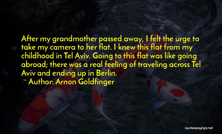 Traveling Abroad Quotes By Arnon Goldfinger