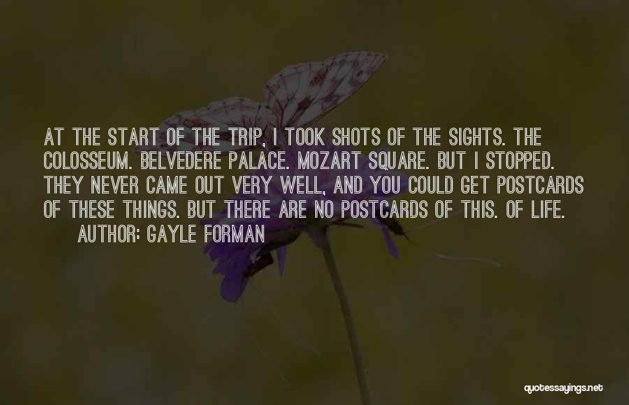 Traveling Life Quotes By Gayle Forman